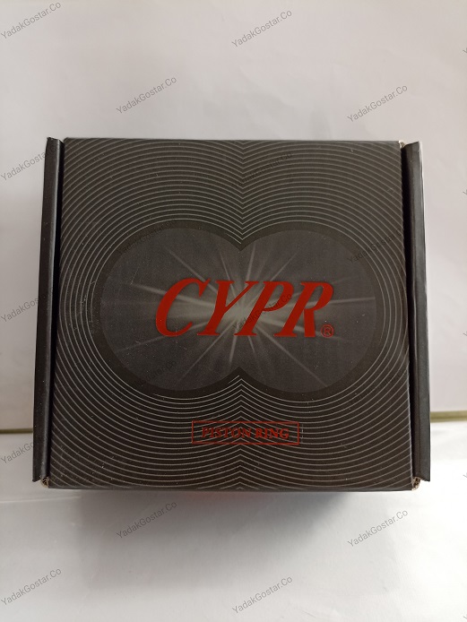 رینگ موتور نیسان دیزل CYPR اصلی