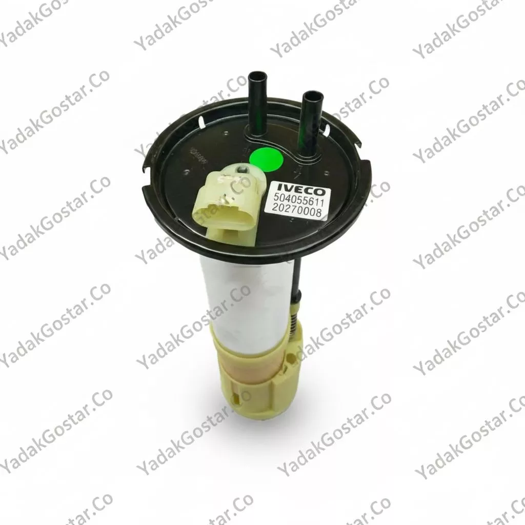 درجه باک ایویکو دیلی اصلی