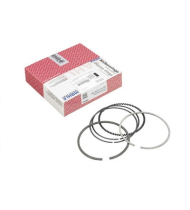 رینگ موتور ایویکو A50 ماهله آلمان