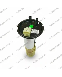 درجه باک ایویکو دیلی اصلی