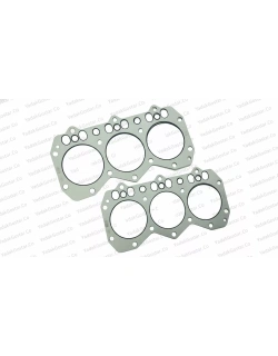 واشر اصلی دورمن