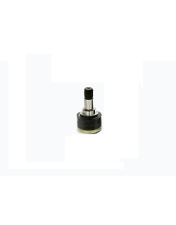 سر پلوس فیات سی ینا