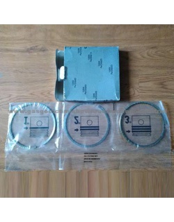 رینگ موتور ایویکو اصلی