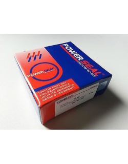 رینگ موتور پاور سل ترکیه وانت نیسان دیزل