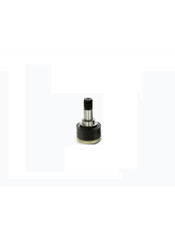 سر پلوس فیات سی ینا